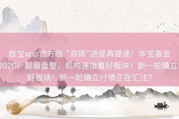 欧宝app官方版 “双碳”进度再提速！华宝基金化工ETF（516020）颠簸盘整，机构连接看好板块！新一轮确立行情正在汇注？