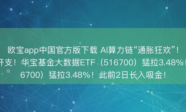 欧宝app中国官方版下载 AI算力链“通胀狂欢”！字节加多25%成本开支！华宝基金大数据ETF（516700）猛拉3.48%！此前2日长入吸金！
