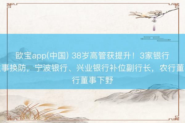 欧宝app(中国) 38岁高管获提升！3家银行东谈主事换防，宁波银行、兴业银行补位副行长，农行董事下野