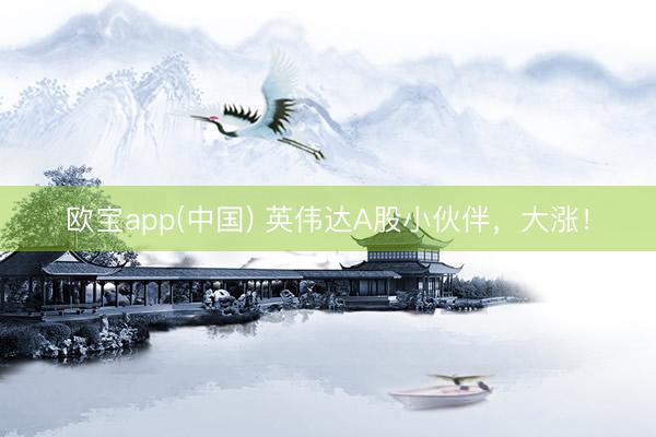 欧宝app(中国) 英伟达A股小伙伴，大涨！