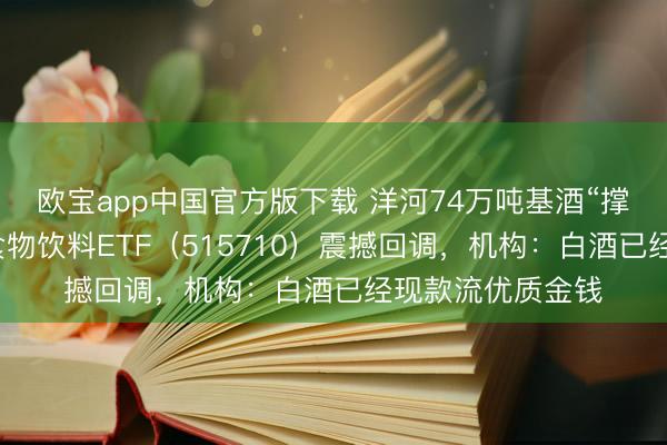 欧宝app中国官方版下载 洋河74万吨基酒“撑腰”！华宝基金食物饮料ETF（515710）震撼回调，机构：白酒已经现款流优质金钱