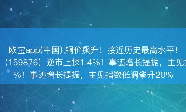 欧宝app(中国) 铜价飙升！接近历史最高水平！华宝基金有色ETF（159876）逆市上探1.4%！事迹增长提振，主见指数低调攀升20%