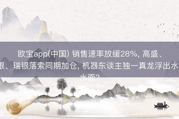 欧宝app(中国) 销售速率放缓28%， 高盛、摩根、瑞银落索同期加仓， 机器东谈主独一真龙浮出水面?