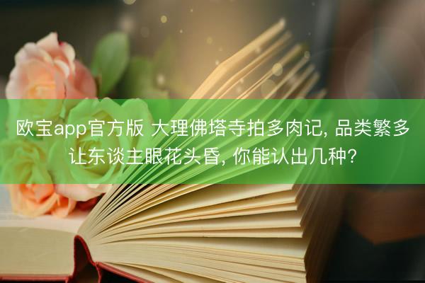 欧宝app官方版 大理佛塔寺拍多肉记， 品类繁多让东谈主眼花头昏， 你能认出几种?