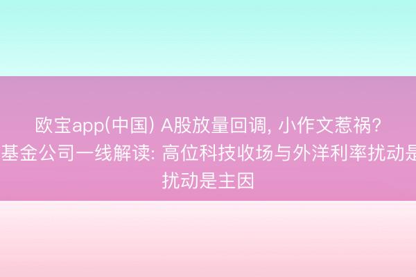 欧宝app(中国) A股放量回调， 小作文惹祸? 多家基金公司一线解读: 高位科技收场与外洋利率扰动是主因