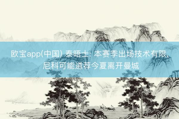 欧宝app(中国) 泰晤士: 本赛季出场技术有限， 尼科可能遴荐今夏离开曼城
