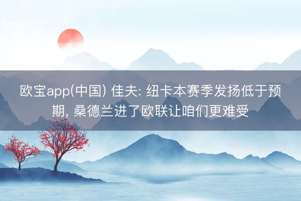 欧宝app(中国) 佳夫: 纽卡本赛季发扬低于预期， 桑德兰进了欧联让咱们更难受