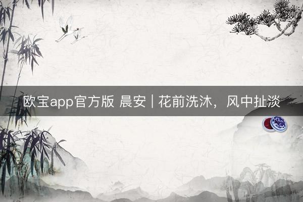 欧宝app官方版 晨安 | 花前洗沐，风中扯淡
