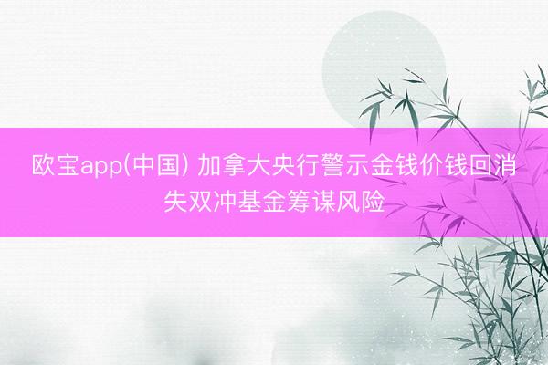 欧宝app(中国) 加拿大央行警示金钱价钱回消失双冲基金筹谋风险