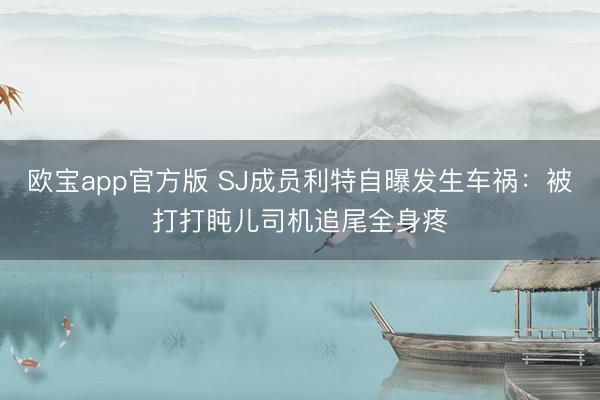 欧宝app官方版 SJ成员利特自曝发生车祸：被打打盹儿司机追尾全身疼