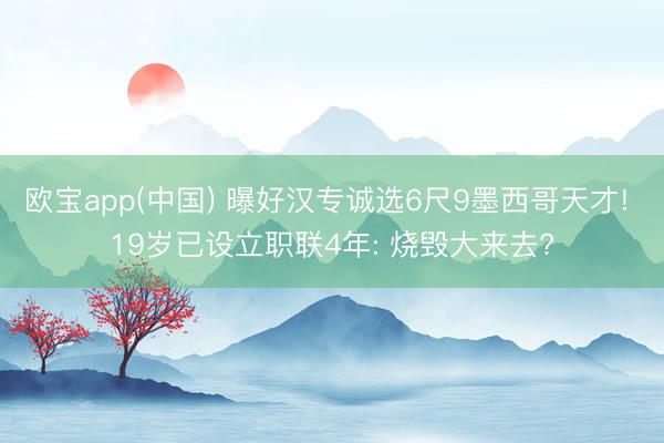 欧宝app(中国) 曝好汉专诚选6尺9墨西哥天才! 19岁已设立职联4年: 烧毁大来去?