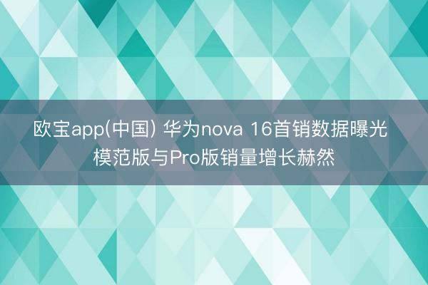 欧宝app(中国) 华为nova 16首销数据曝光 模范版与Pro版销量增长赫然