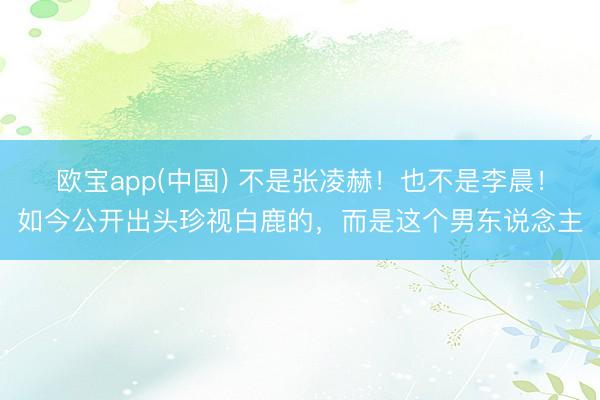 欧宝app(中国) 不是张凌赫！也不是李晨！如今公开出头珍视白鹿的，而是这个男东说念主