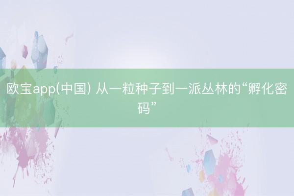 欧宝app(中国) 从一粒种子到一派丛林的“孵化密码”