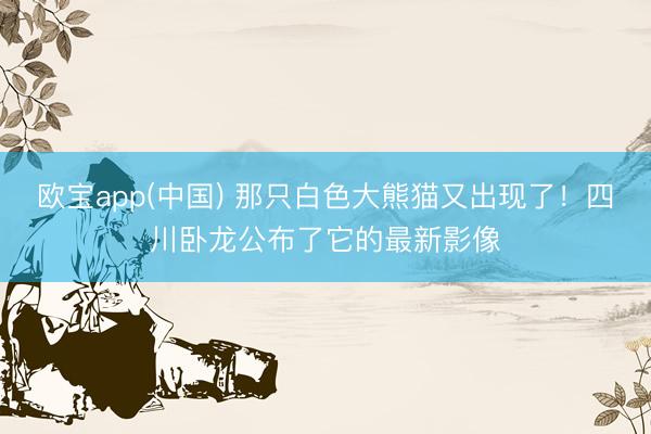 欧宝app(中国) 那只白色大熊猫又出现了！四川卧龙公布了它的最新影像