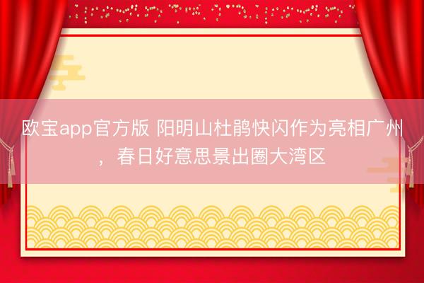 欧宝app官方版 阳明山杜鹃快闪作为亮相广州，春日好意思景出圈大湾区