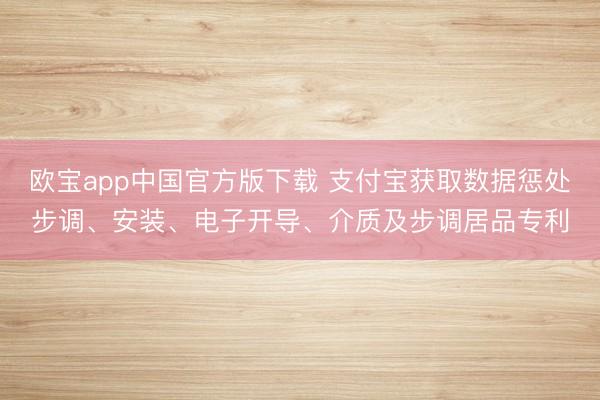 欧宝app中国官方版下载 支付宝获取数据惩处步调、安装、电子开导、介质及步调居品专利