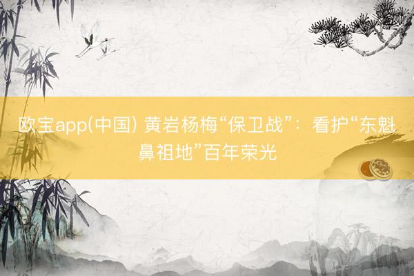 欧宝app(中国) 黄岩杨梅“保卫战”:看护“东魁鼻祖地”百年荣光