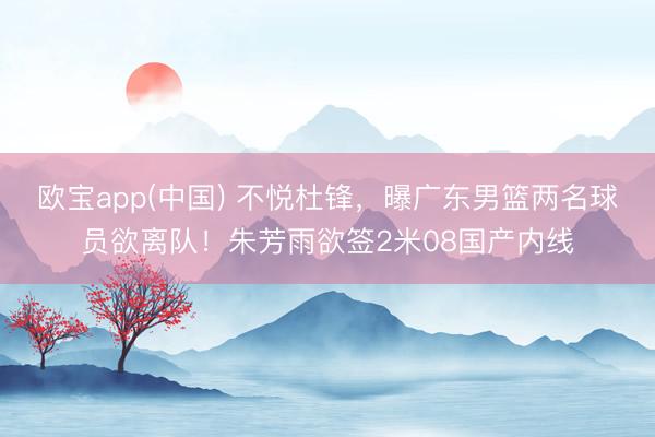 欧宝app(中国) 不悦杜锋，曝广东男篮两名球员欲离队！朱芳雨欲签2米08国产内线